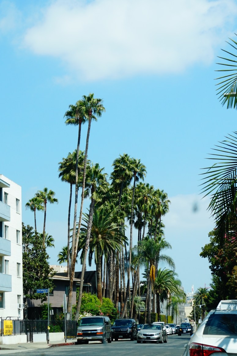 Packing for holidays!