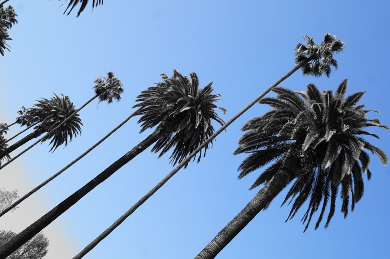 This should you do on a hot summer&nbsp;day!