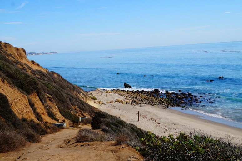 Daily things you can do for the nature&nbsp;!